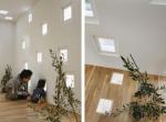 Takeshi Hosaka Architects