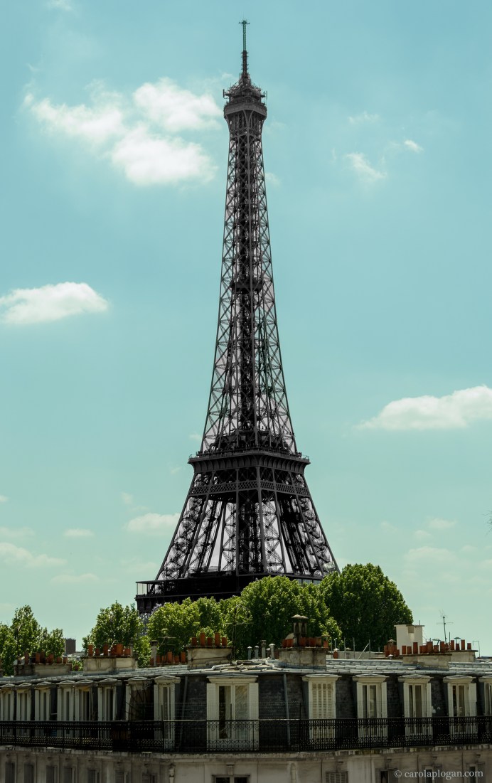 © Carol Aplogan Tous les droits de reproduction sont réservés. All Rights Reserved