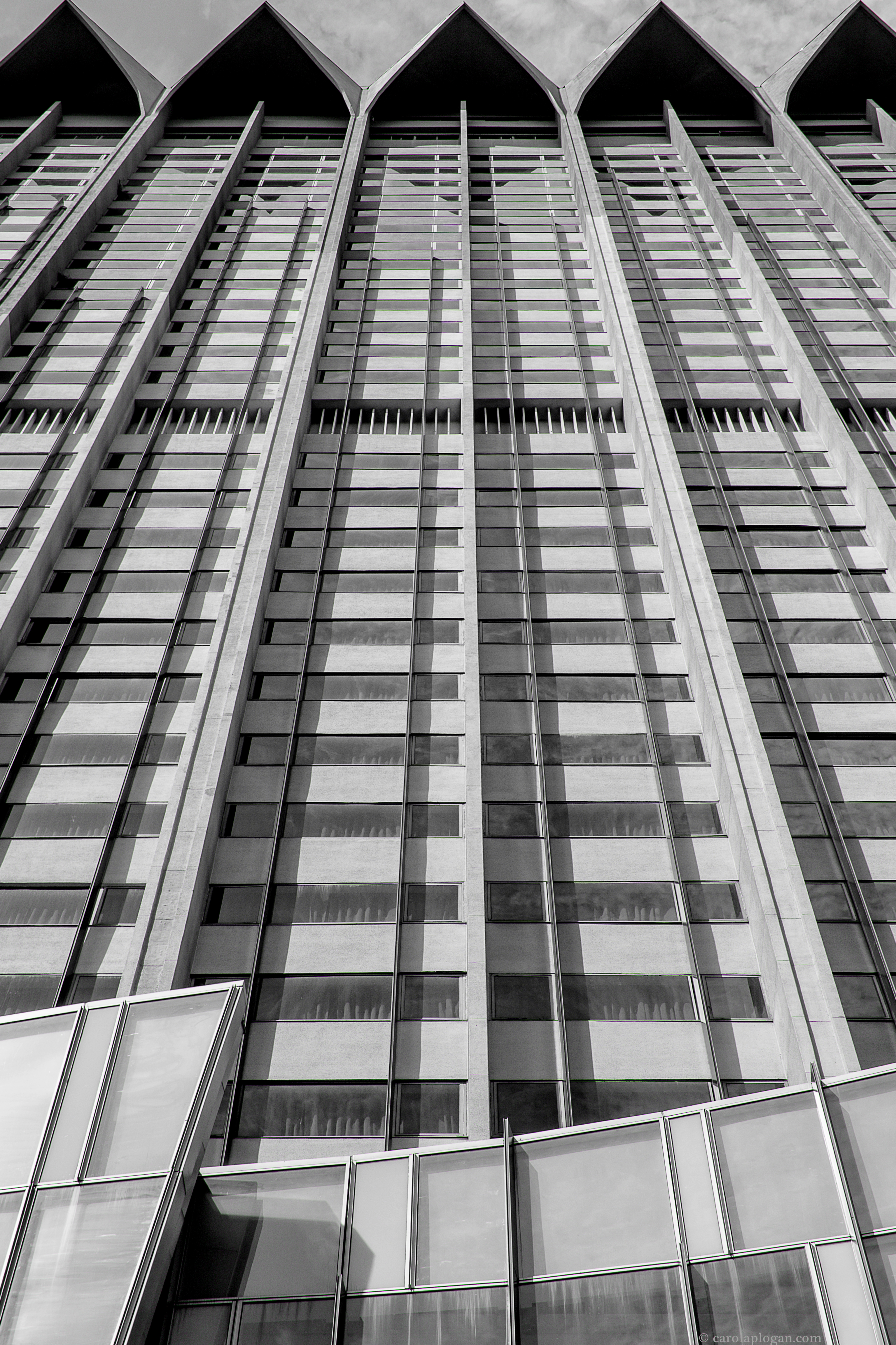 © Carol Aplogan Tous les droits de reproduction sont réservés. All Rights Reserved