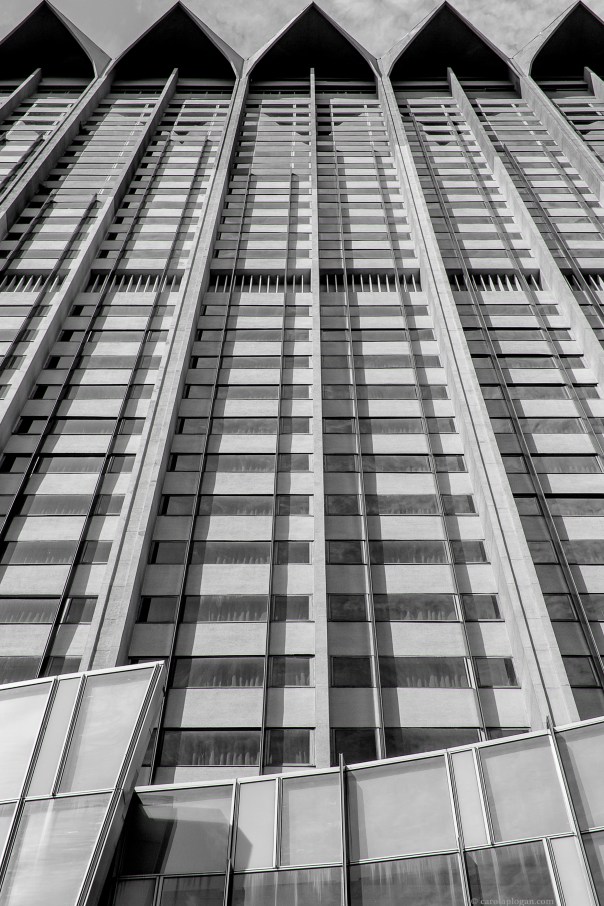 © Carol Aplogan Tous les droits de reproduction sont réservés. All Rights Reserved