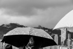 Les Parapluies de Hong&nbsp;Kong