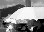 Les Parapluies de Hong&nbsp;Kong