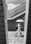 Les Parapluies de Hong&nbsp;Kong