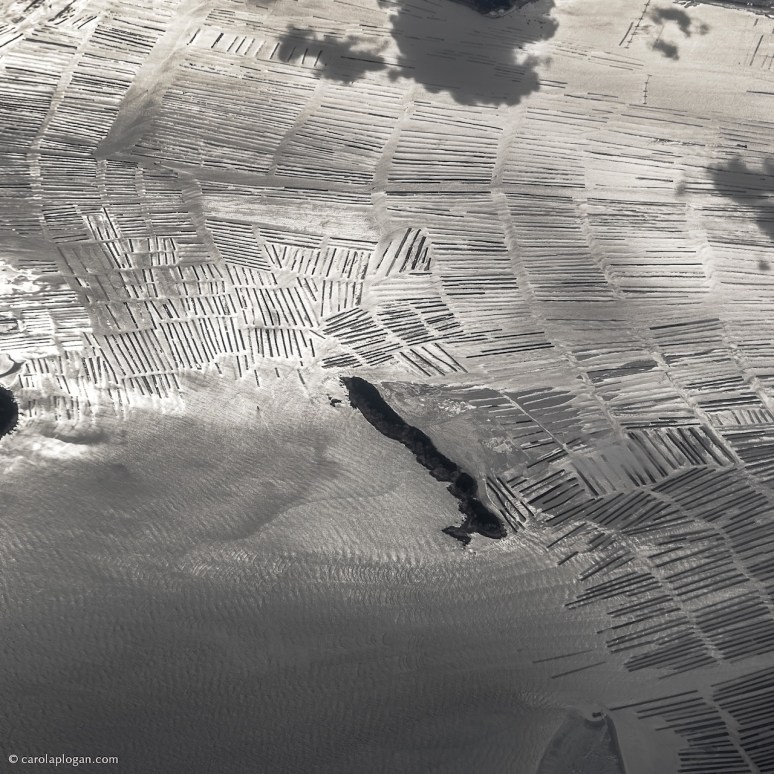 © Carol Aplogan Tous les droits de reproduction sont réservés. All Rights Reserved